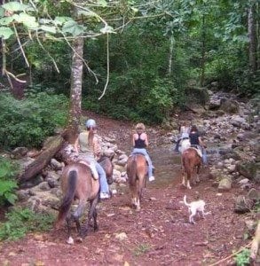 Horseback Riding Tours Costa Rica Horseback Rding Tours Costa Rica