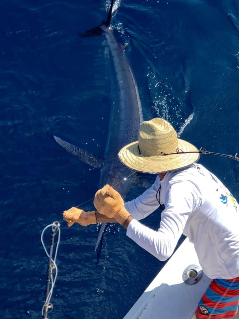 Marlin Fishing adventure in Costa Rica