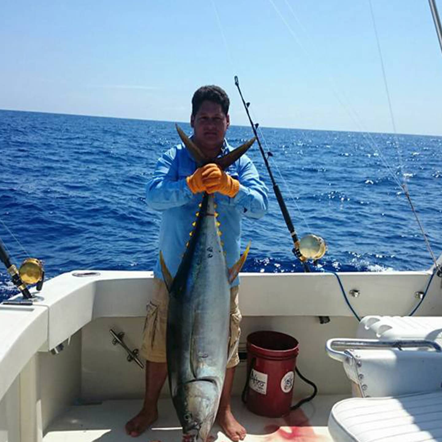 Large Tuna Fish