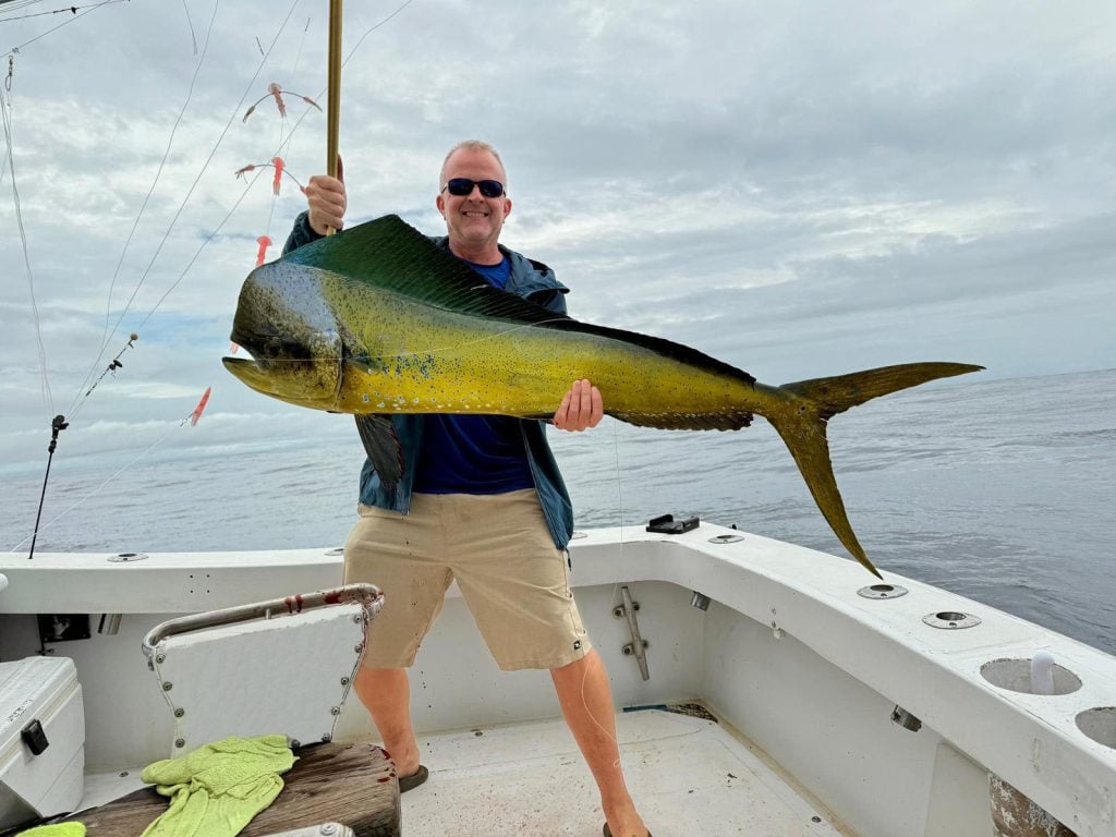 Large Mahi Mahi